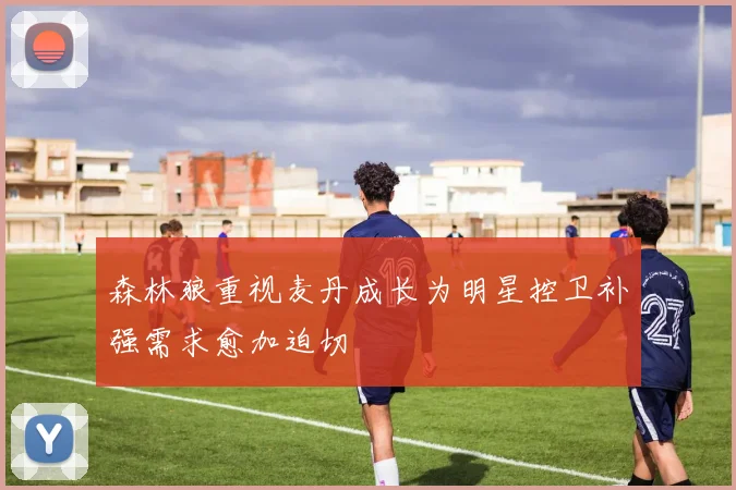 森林狼重视麦丹成长为明星控卫补强需求愈加迫切