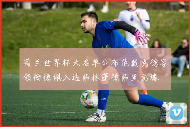 荷兰世界杯大名单公布范戴克德容领衔德佩入选弗林蓬德弗里无缘
