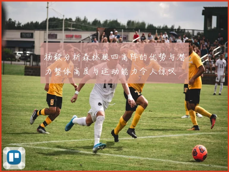 杨毅分析森林狼四高阵的优势与潜力整体高度与运动能力令人惊叹